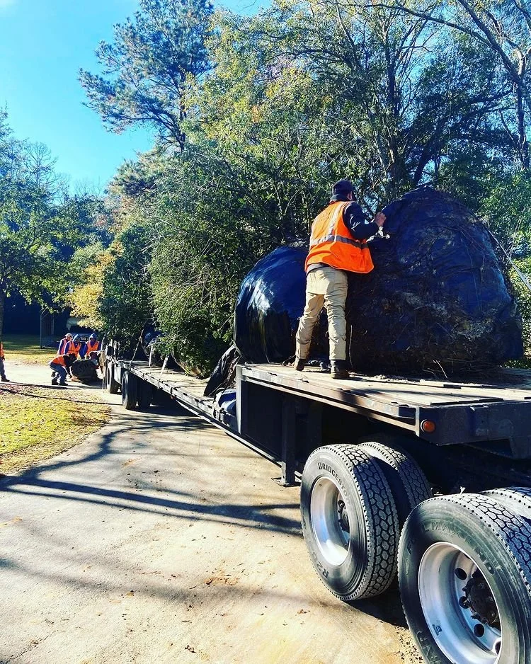 Professional hardscape installation in progress