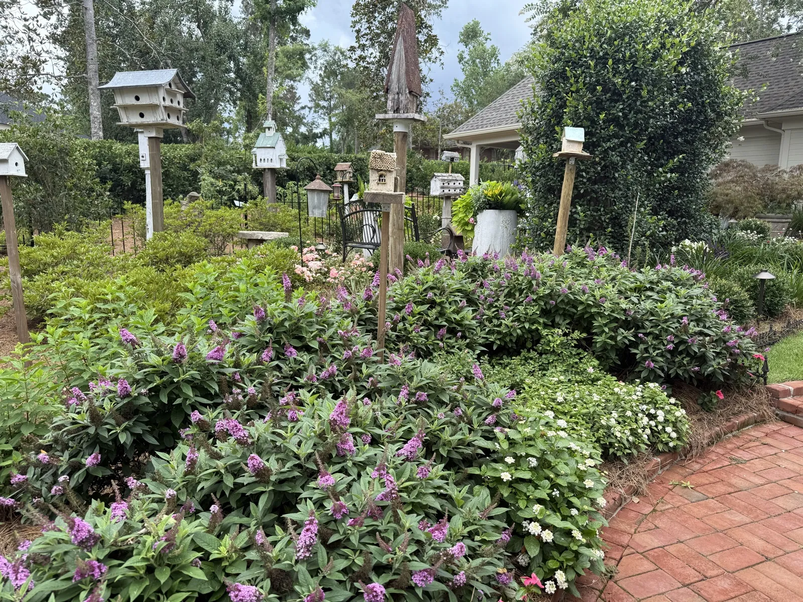Garden with birdhouses and purple shrubs
